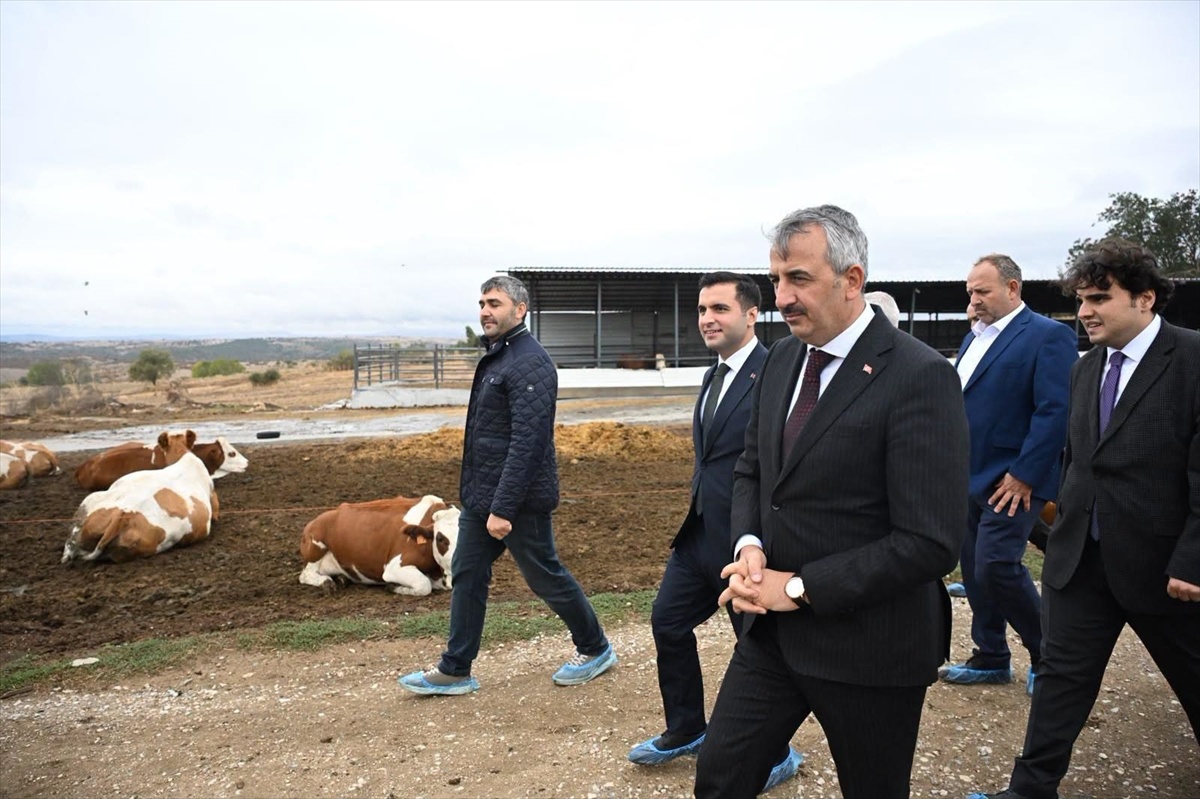 Edirne Valisi Sezer, Lalapaşa\'da Çelikoğlu Çiftliği üretim tesislerini ziyaret etti
