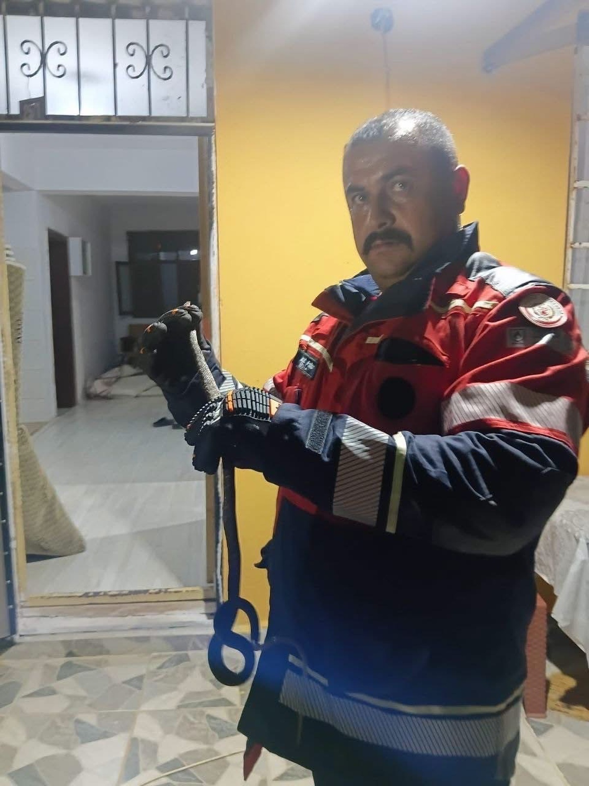 Hatay Hassa\'da yerleşim yerindeki yılan zarar verilmeden yakalanıp doğaya bırakıldı