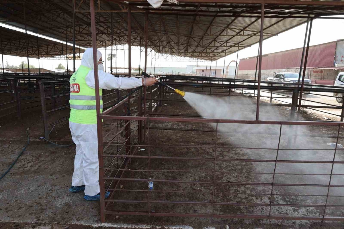 HBB, Hatay\'da şap hastalığına karşı karasinek mücadelesini il genelinde sürdürüyor