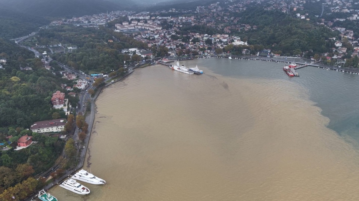 Sağanağın ardından İstanbul Boğazı\'nda renk değişimi: Kıyıda deniz kahverengi oldu