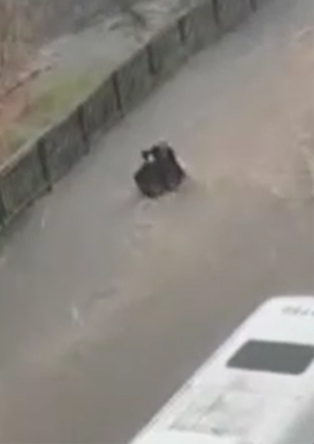 İstanbul'da yürekleri ağza getiren görüntü!