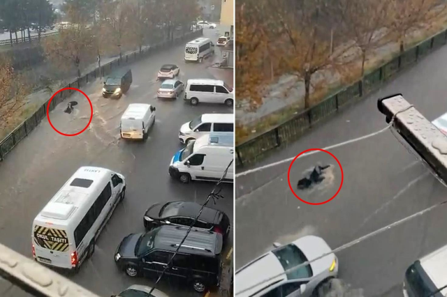 İstanbul'da hayatı felç eden yağış! Okulun istinat duvarı çöktü, araştırma hastanesini su bastı