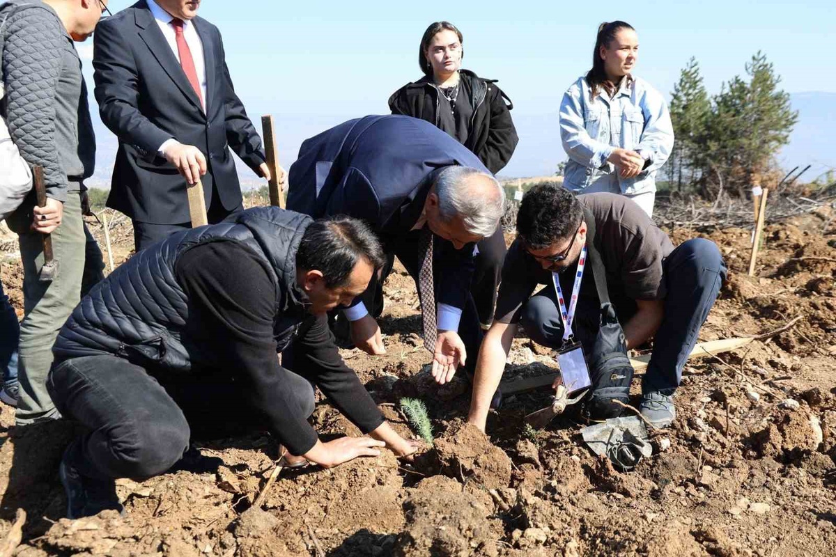 Karabük\'te ErasmusDays etkinliğinde 192 öğretmen ve öğrenci 250 fidan dikti