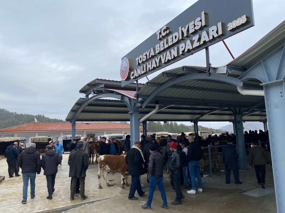 Kastamonu Tosya\'da canlı hayvan pazarı şap nedeniyle ikinci duyuruya kadar kapatıldı