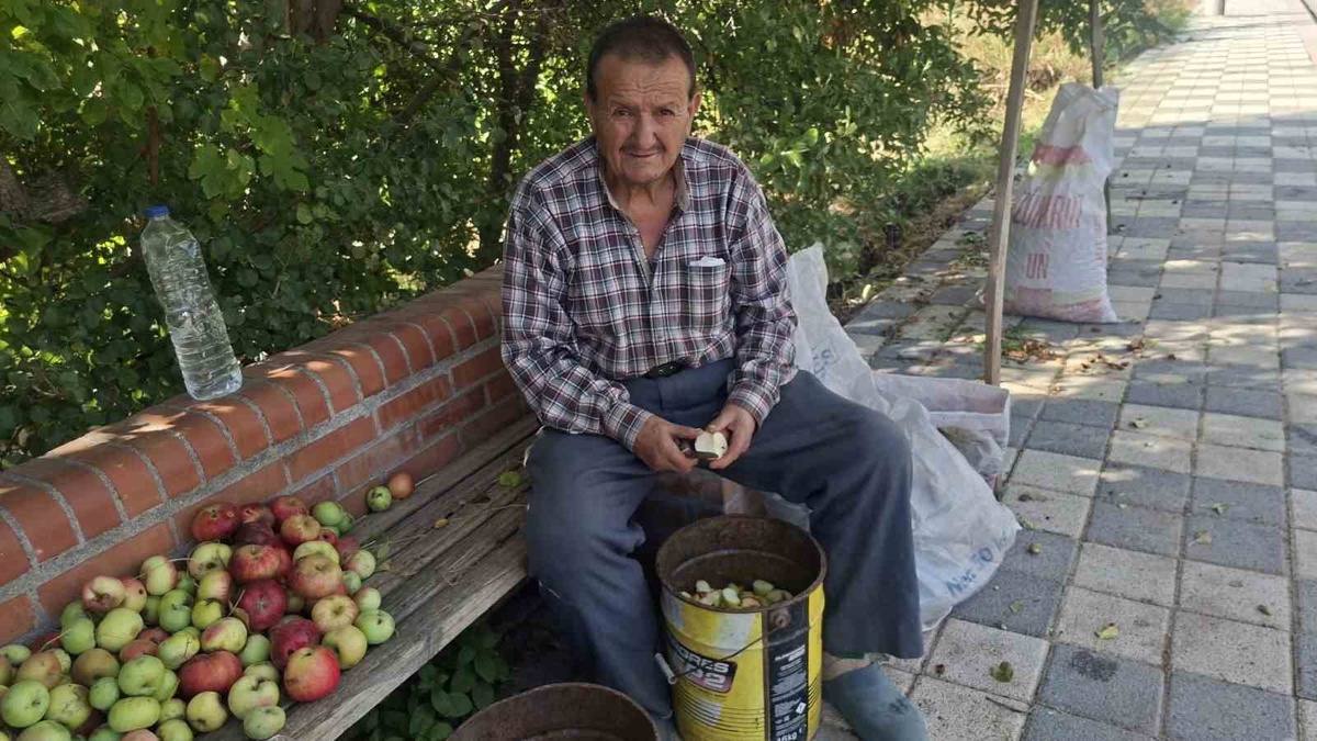 Elma kurusu fiyatı Hisarcık\'ta 70 liradan 40 liraya geriledi, üretici bekliyor
