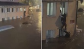 Sarıyer’de sel sularının ortasında kaldı, canını cam pencereye tırmanarak kurtardı