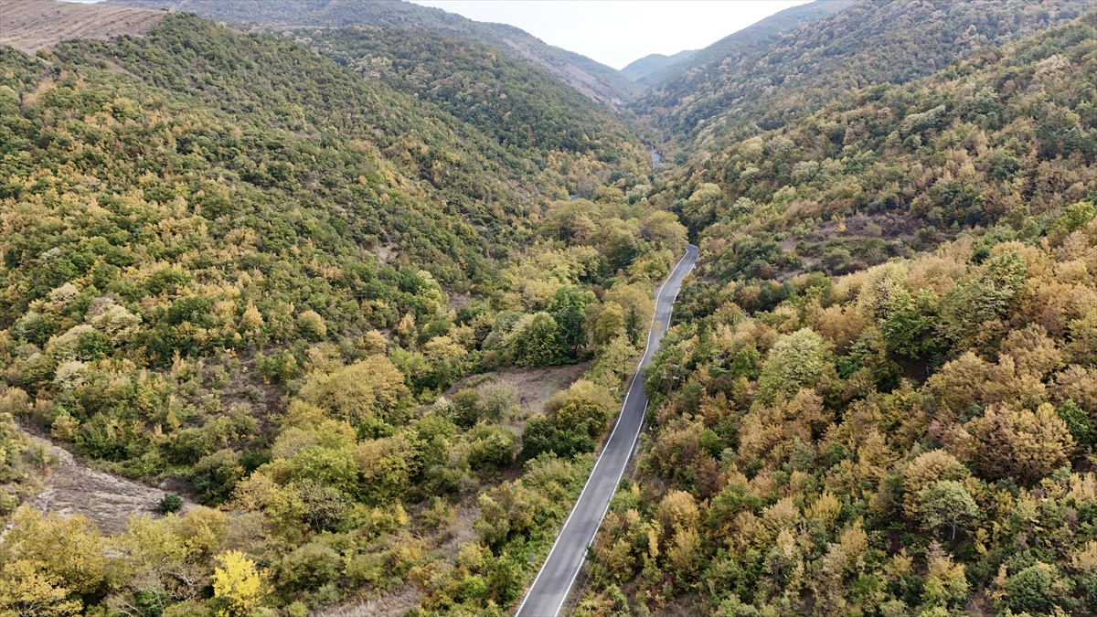 Tekirdağ\'da Ganos Dağı eteklerinde sonbahar renkleri fotoğrafçıları çekiyor