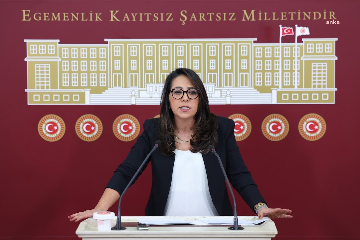 Sera Kadıgil, Halk TV kayyımının gündemi engelleme amacı taşıdığını savundu