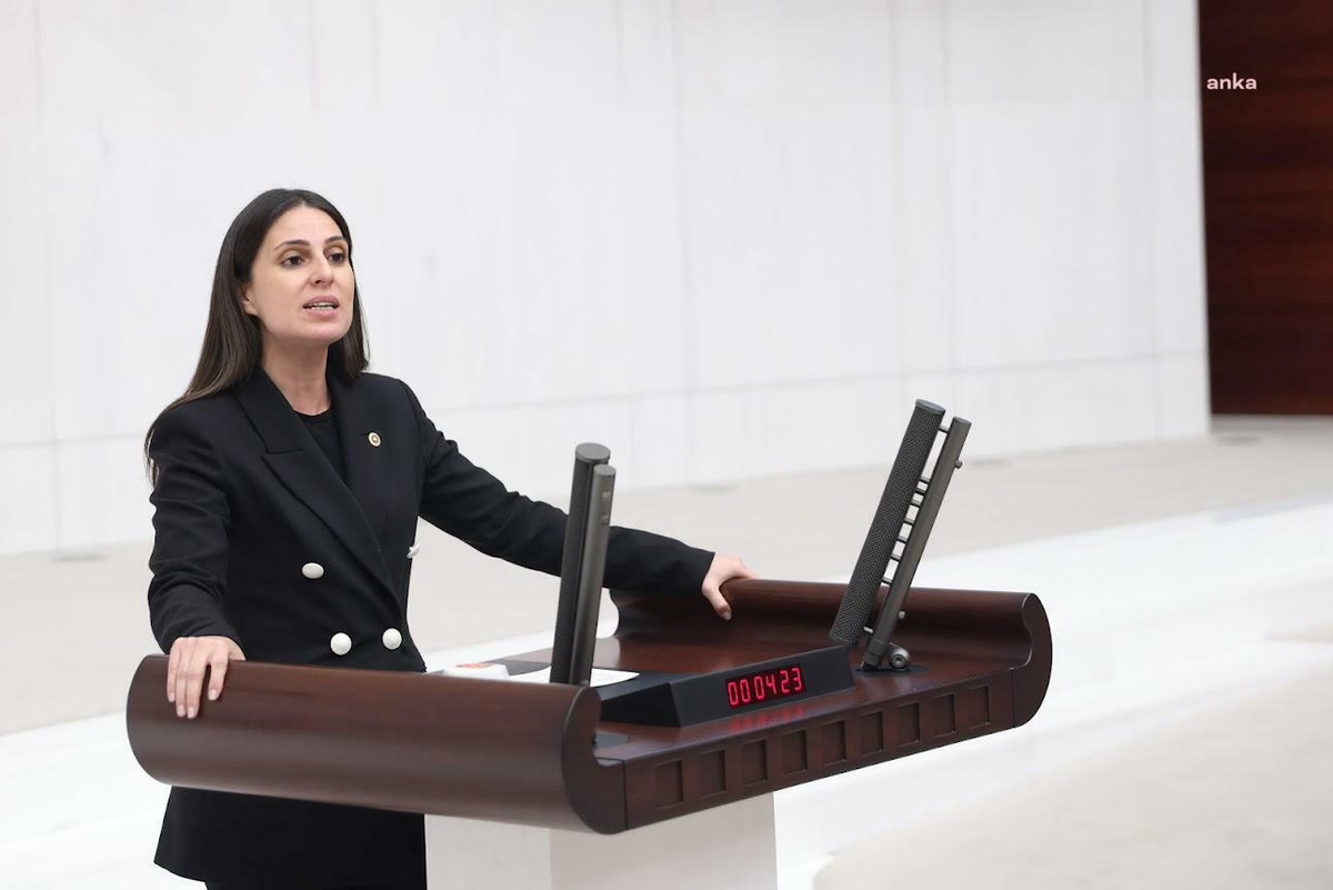 YENİ Partili Özcan, Halk TV\'ye kayyım atanmasını özgür basına pranga girişimi saydı