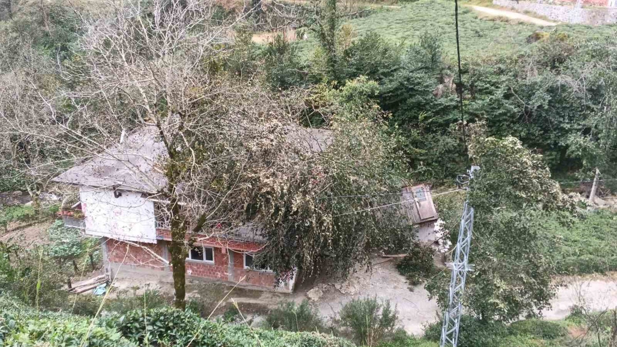 Hopa, Borçka ve Kemalpaşa\'da rüzgâr ağaçları devirdi, araç ve yapılar zarar gördü