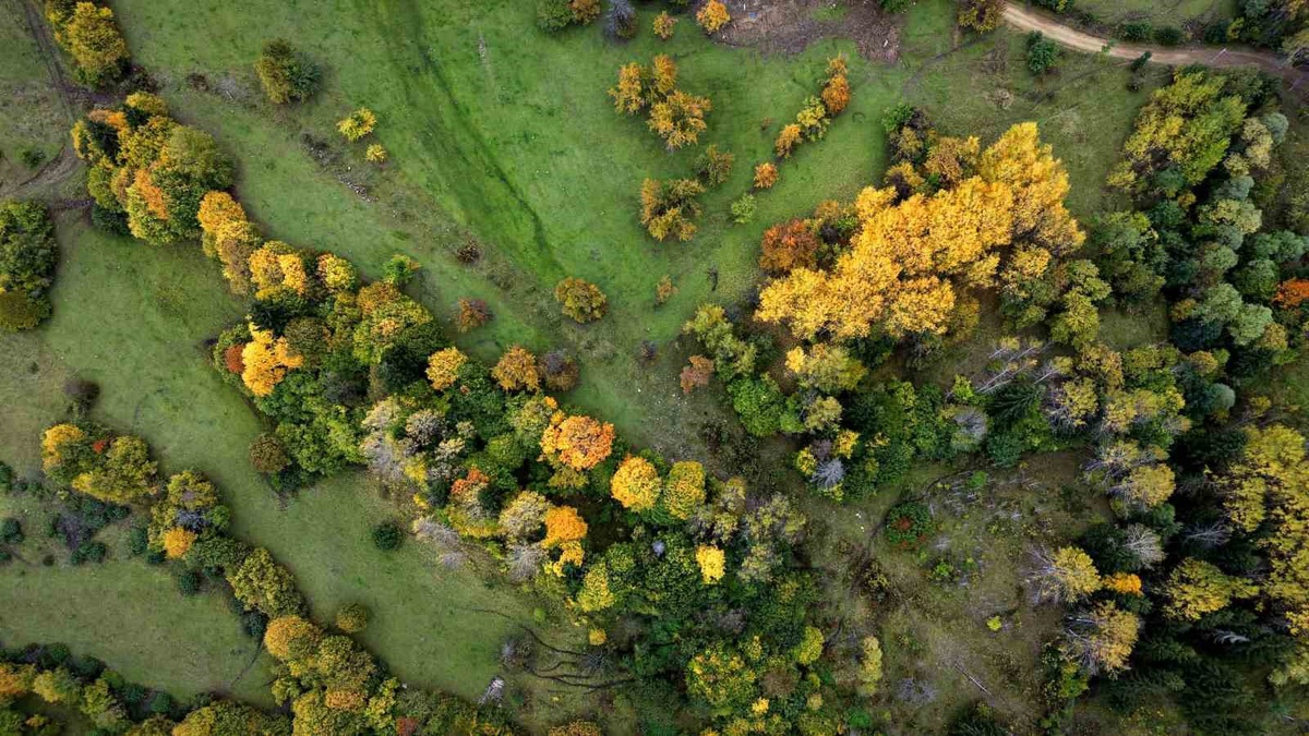 Artvin Şavşat Yavuzköy\'de sonbahar renkleri dronla kaydedildi, fotoğraflara yansıdı