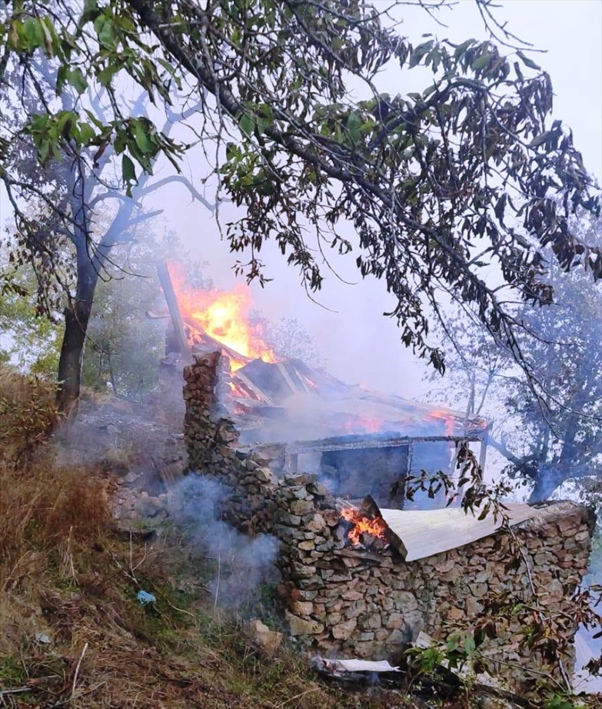 Artvin Yusufeli\'de yıldırım düşen evde çıkan yangın iki eve sıçradı, itfaiye söndürdü