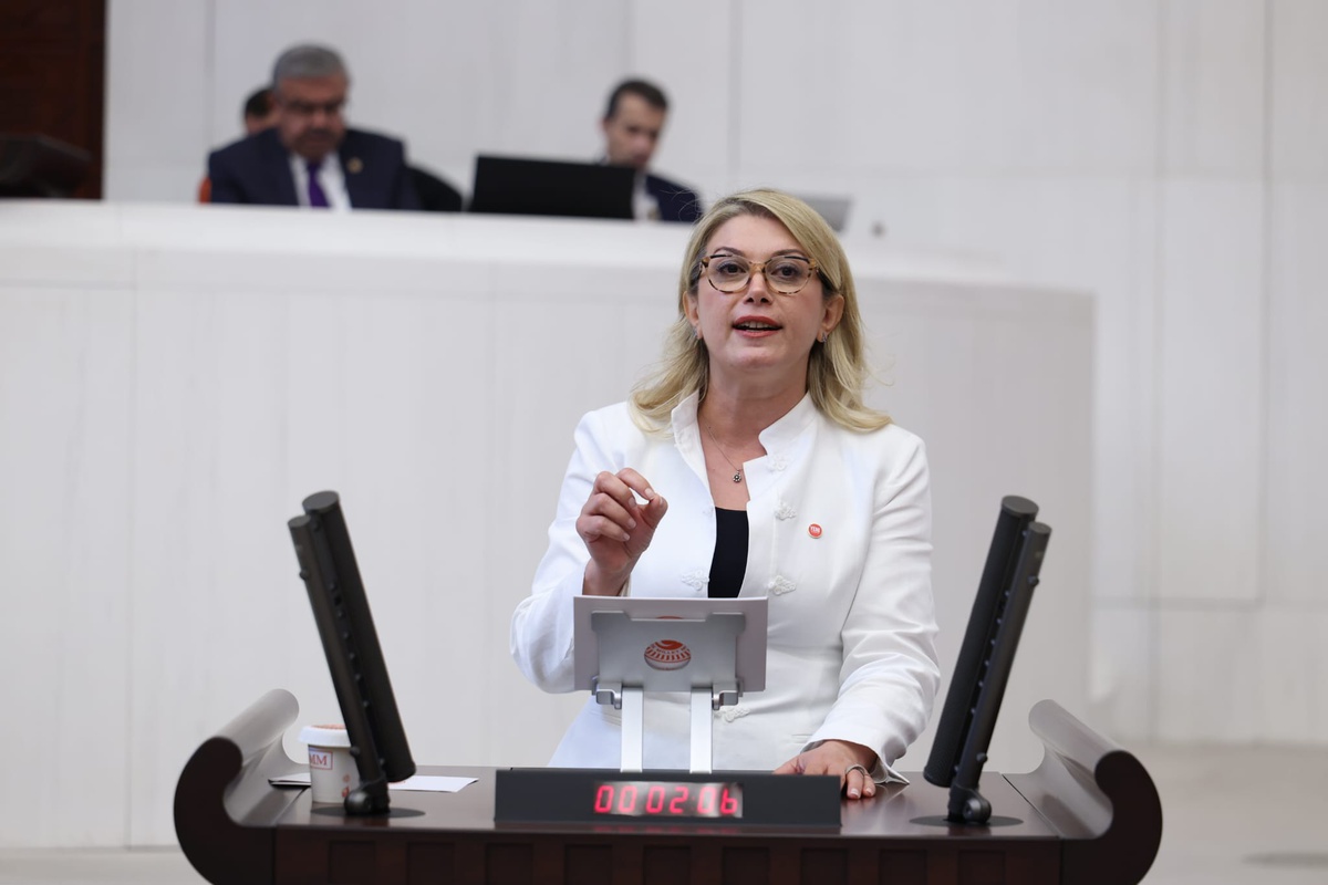 YENİ Parti\'li Asu Kaya, kadınlara devlet ödemeli emeklilik ve her köye kreş vaat etti