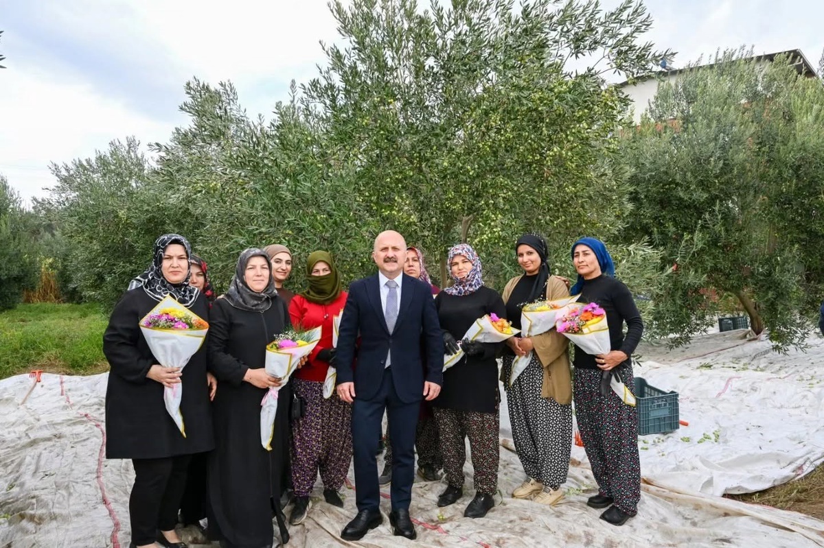 Aydın Valisi Varol, Kadın Çiftçiler Günü\'nde kadınlarla birlikte zeytin topladı