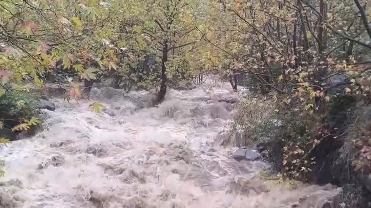 Bursa\'da sağanak 4 dereyi taşma noktasına getirdi, 79 olaya müdahale edildi