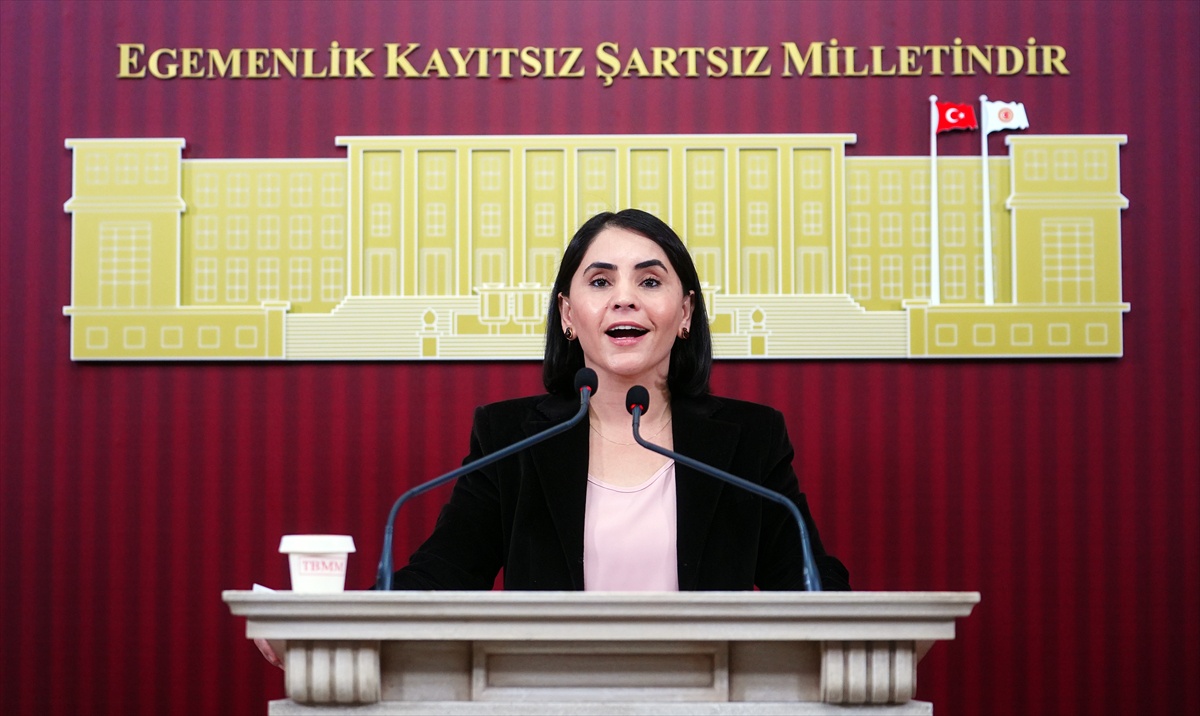 DEM Parti vekilleri Meclis\'te pancara yüzde 20 zam ve eğitim masraflarını gündeme getirdi