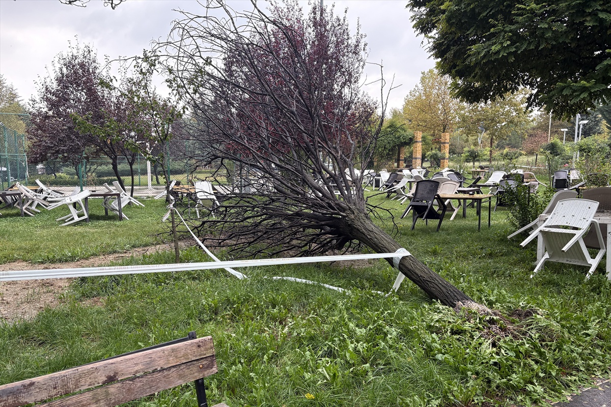 Elazığ\'da sağanakta devrilen ağaç FÜ Sosyal Merkez yakınında aracın üzerine düştü