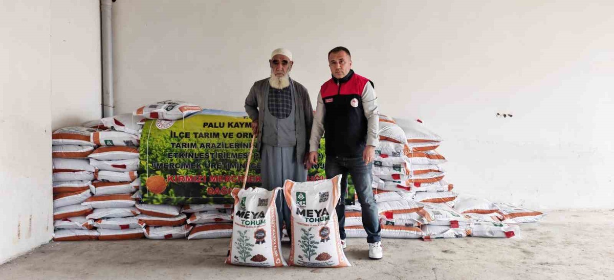 Elazığ Palu\'da üreticilere yüzde 70 hibeli 10 ton kırmızı mercimek tohumu dağıtıldı