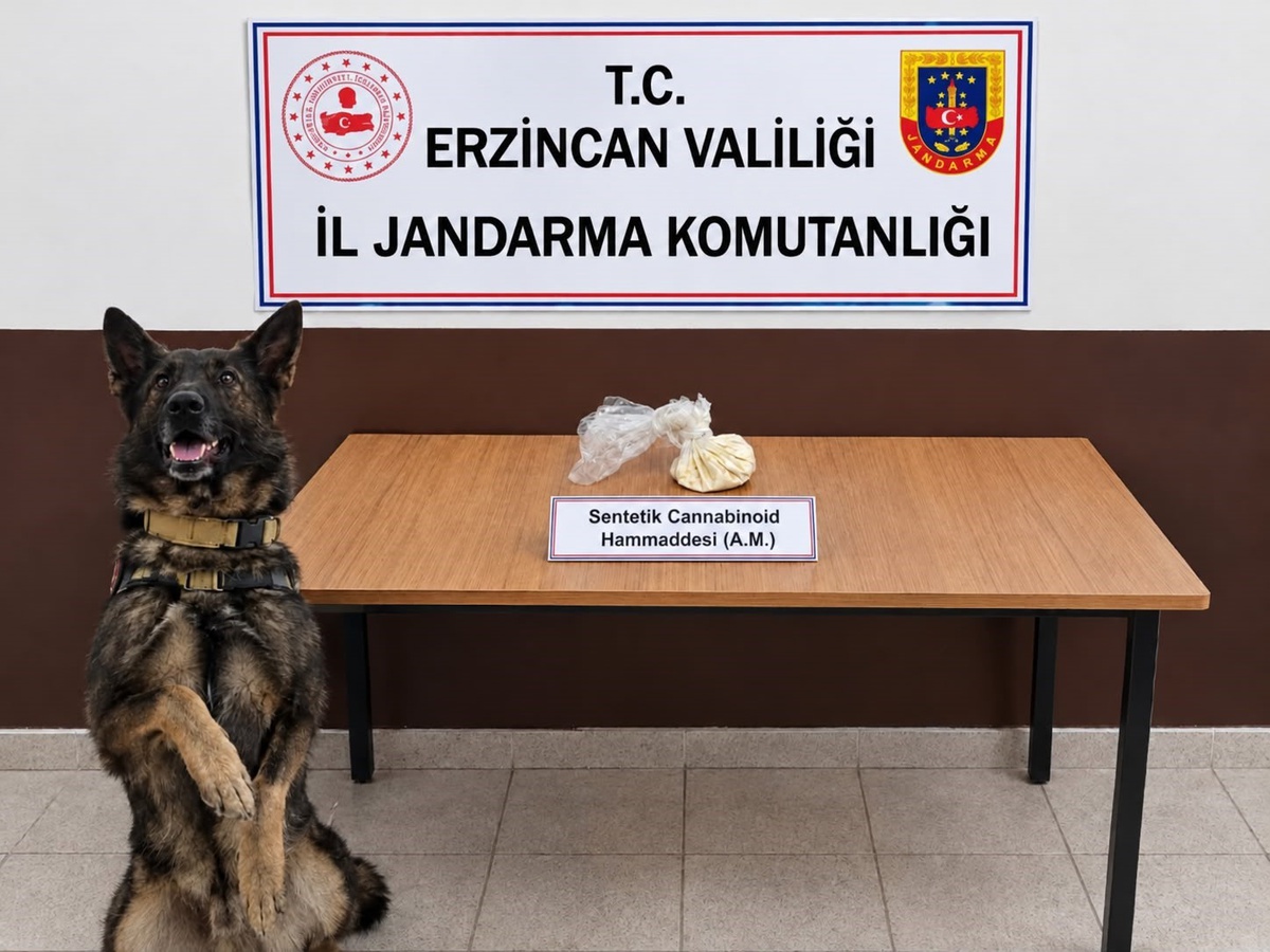 Erzincan\'da jandarma 2 operasyonda 13 gram skunk ile 35 gram hammadde ele geçirdi