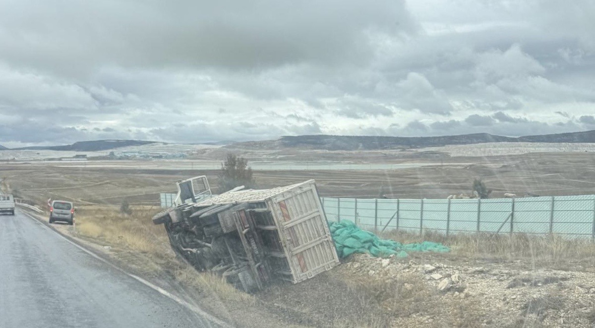 Eskişehir Seyitgazi\'de kamyon şarampole devrildi, kasasındaki çuvallar saçıldı