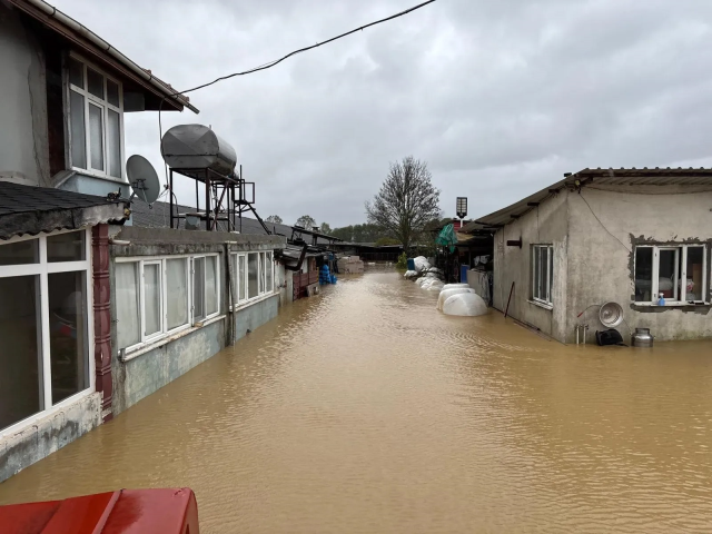 İstanbul ve Kocaeli'nin ardından bir büyükşehirde daha okullar yarın tatil edildi
