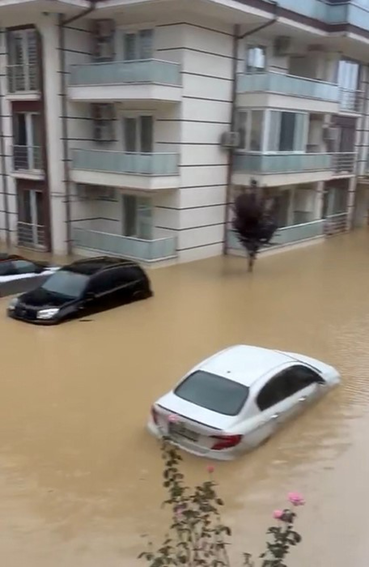 Sakarya\'da kuvvetli yağış su baskınlarına neden oldu, Geyve\'de toprak kayması oldu