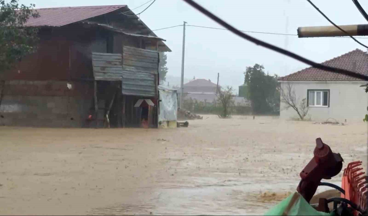 Sakarya Kocaali\'de sel suları iki tavuk kümesini bastı, 60 bin kanatlı telef oldu