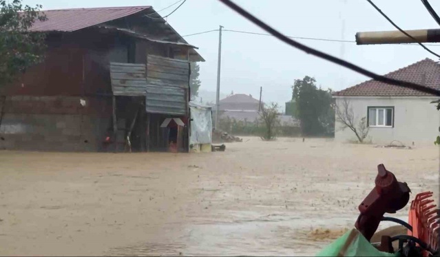 Sakarya Kocaali'de sel suları iki tavuk kümesini bastı, 60 bin kanatlı telef oldu