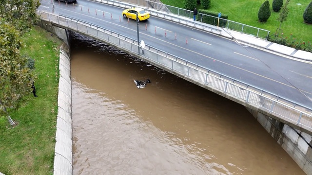 Selin bilançosu ağırlaşıyor! Derede ters dönmüş araç bulundu, 5 kişi aranıyor