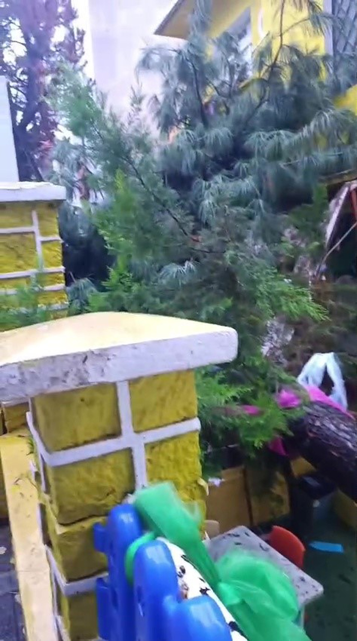 İstanbul Üsküdar\'da fırtına anaokulu bahçesindeki ağacı devirdi, facia önlendi