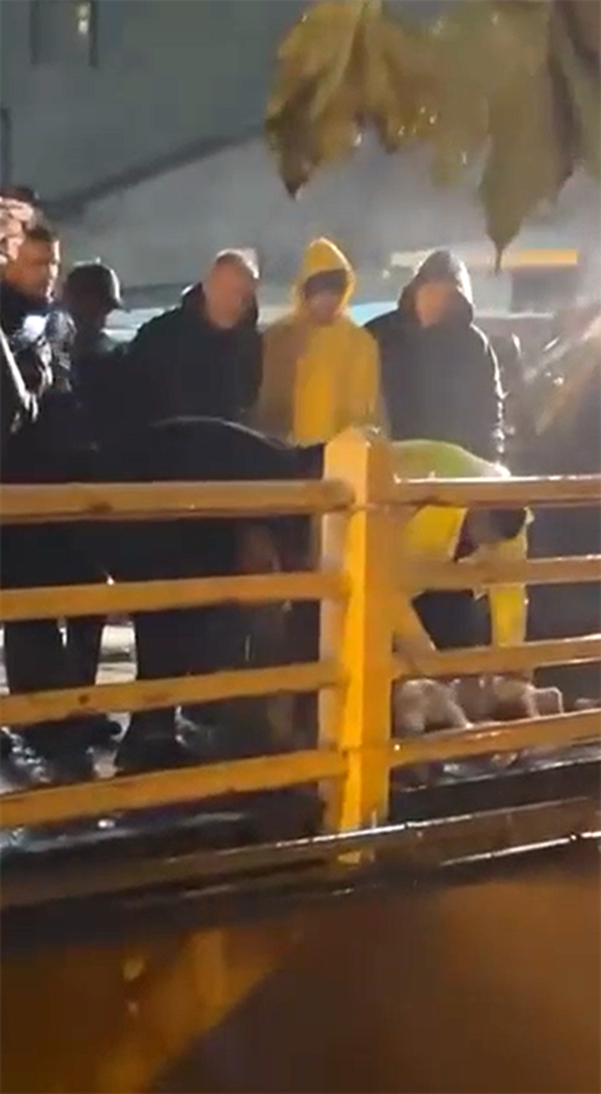 Yalova Armutlu\'da yağış bitsin diye vatandaşlar köprüde kurban kesti