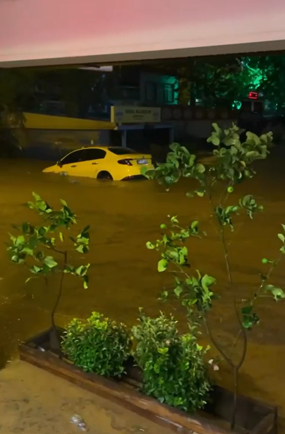 Yalova Armutlu\'da sağanak dereleri taşırdı, araçlar sürüklendi, kahvehaneyi su bastı