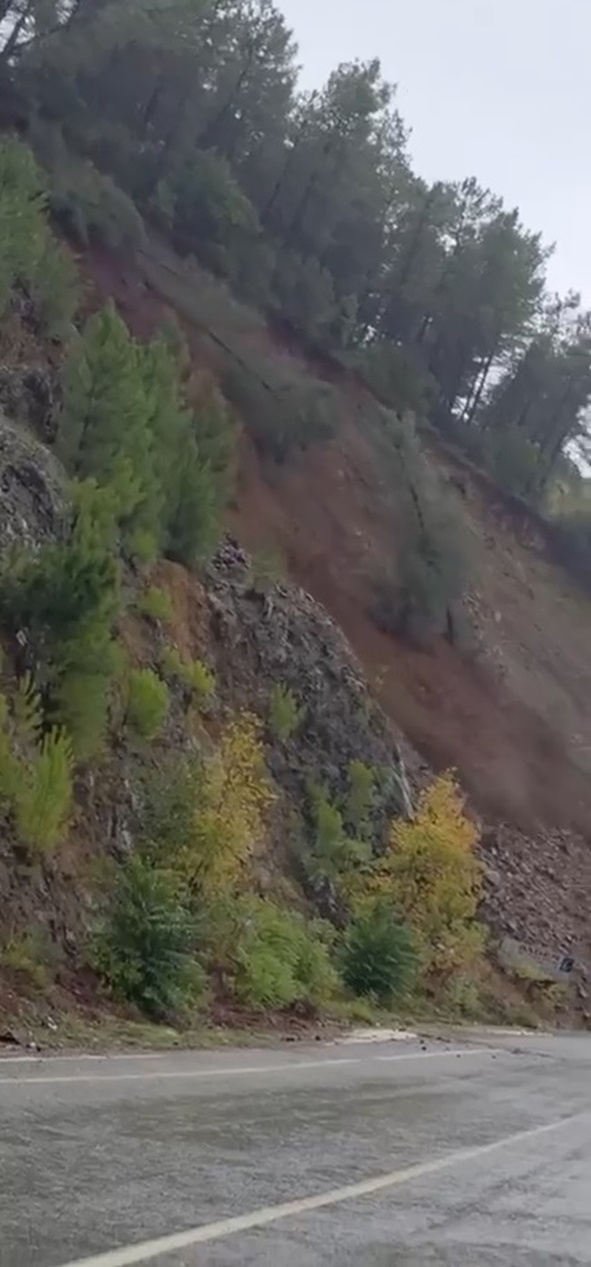 Yalova\'da toprak kayması ağaçları yola sürükledi, tek şerit ulaşıma kapandı
