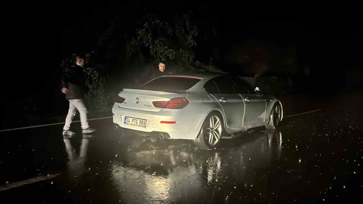 Zonguldak Alaplı\'da kaya düşen yolda iki otomobil hasar gördü, sürücüler yara almadı