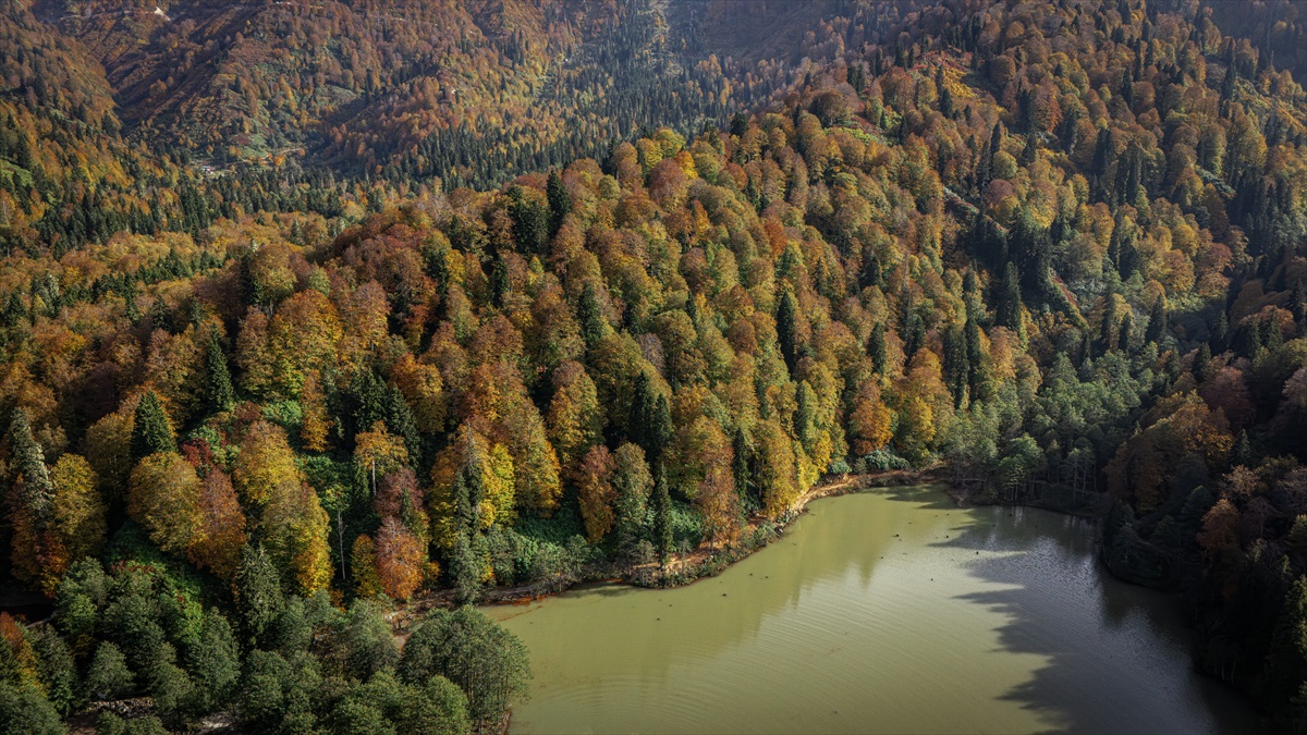 Artvin\'in Borçka ilçesindeki Karagöl\'de sonbahar renkleri dronla görüntülendi