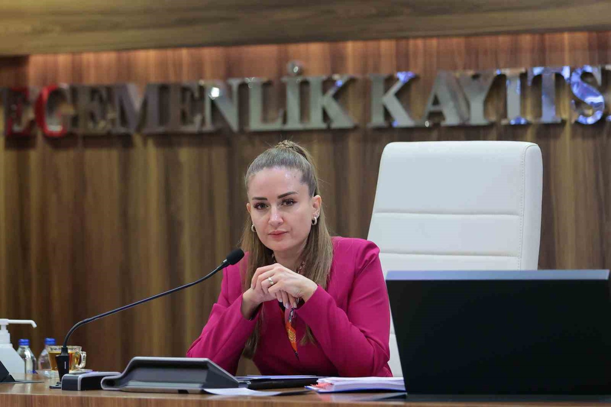 Başkan Vekili Özdemir, Altıntaş projesinin 2021\'den beri hazır olduğunu belirtti