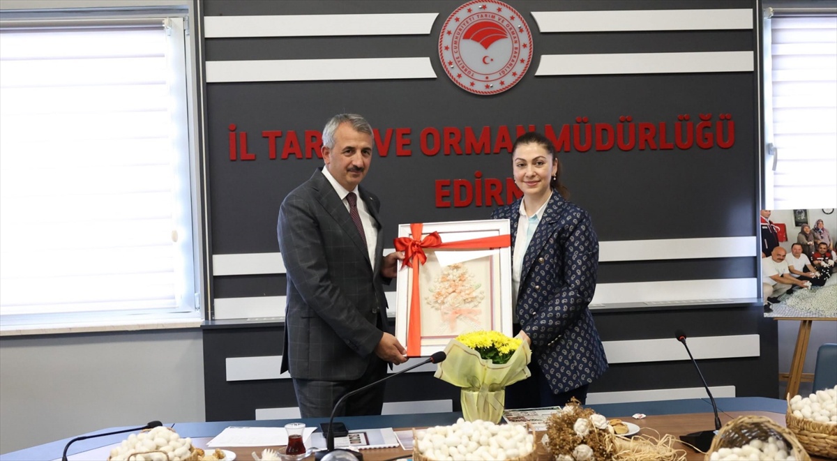 Edirne\'de kadın üreticiler 15 Ekim\'de ipek böcekçiliği için destekleri değerlendirdi