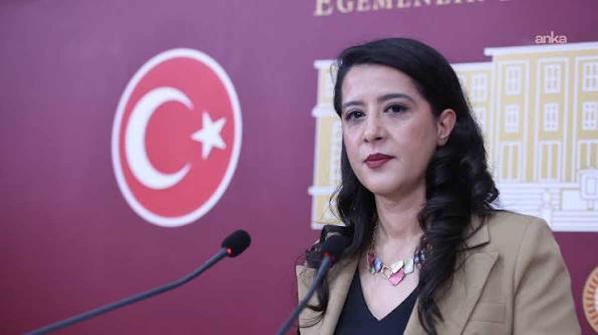 Ağırel ve Özgür\'ün gözaltısı, EMEP\'li Karaca\'nın önergesiyle Bakan Gürlek\'e taşındı