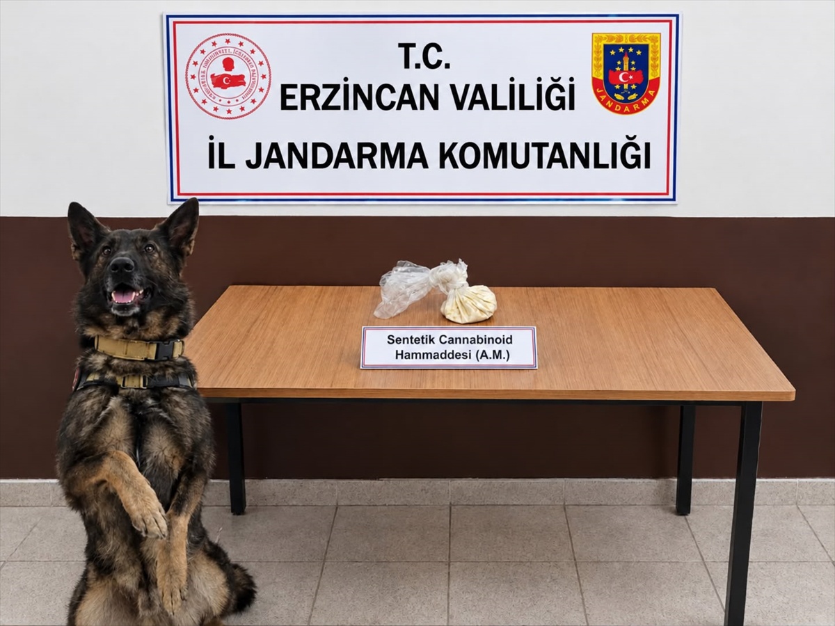 Erzincan\'da operasyonda 2 şüpheli gözaltına alındı, 35 gram madde ele geçirildi