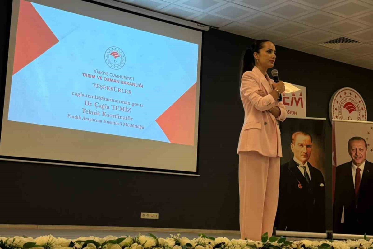 Giresun\'da fındık bakım teknisyeni eğitimleri başladı, 20-22 Ekim\'de uygulama yapılacak