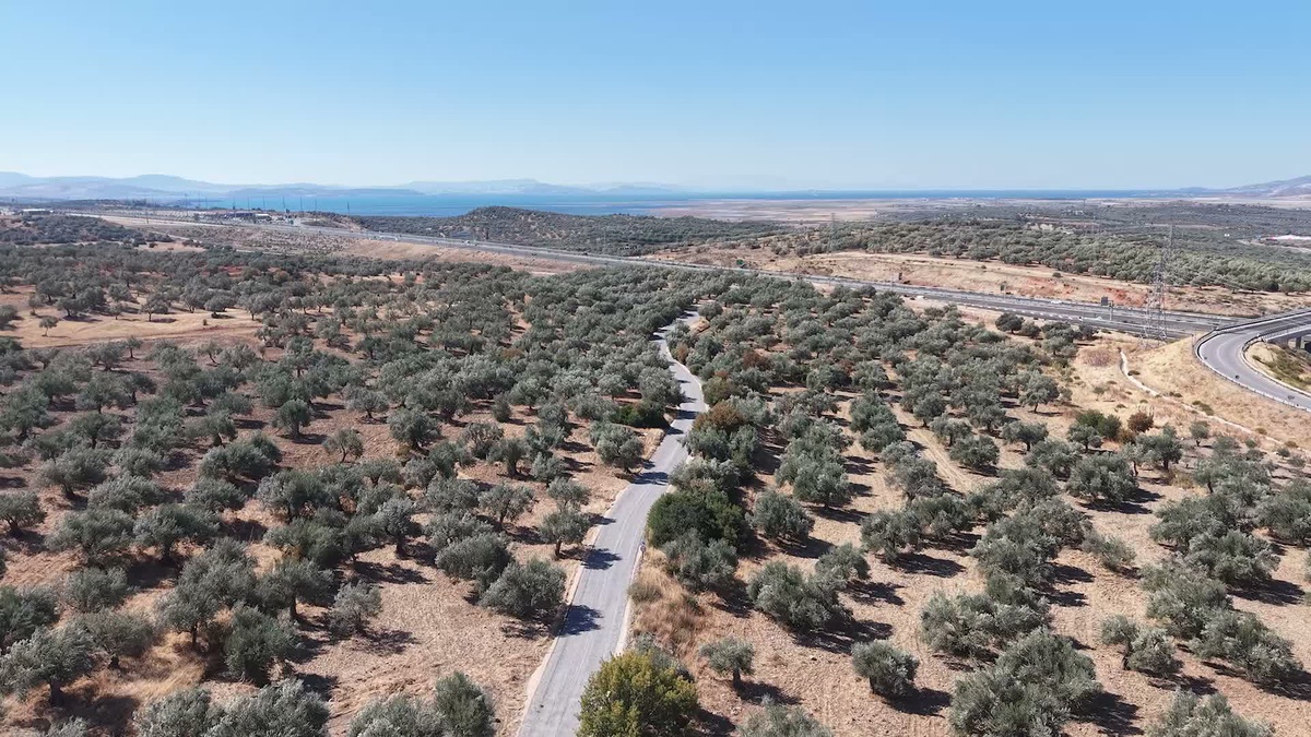İzmir Büyükşehir Belediyesi, Dikili\'de 16 kilometrelik turizm yolunda sona yaklaştı