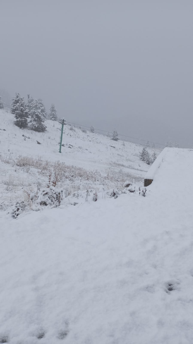 Bolu'da Yedigöller Milli Parkı'na mevsimin ilk karı düştü, park yolunda kısa sürdü