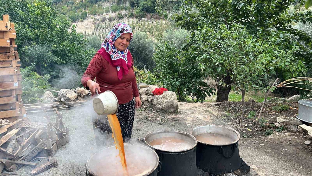 Mersinli çiftçi Naciye Şahin, 1 milyon 400 bin TL\'lik ödülle emekli olmayı planlıyor.