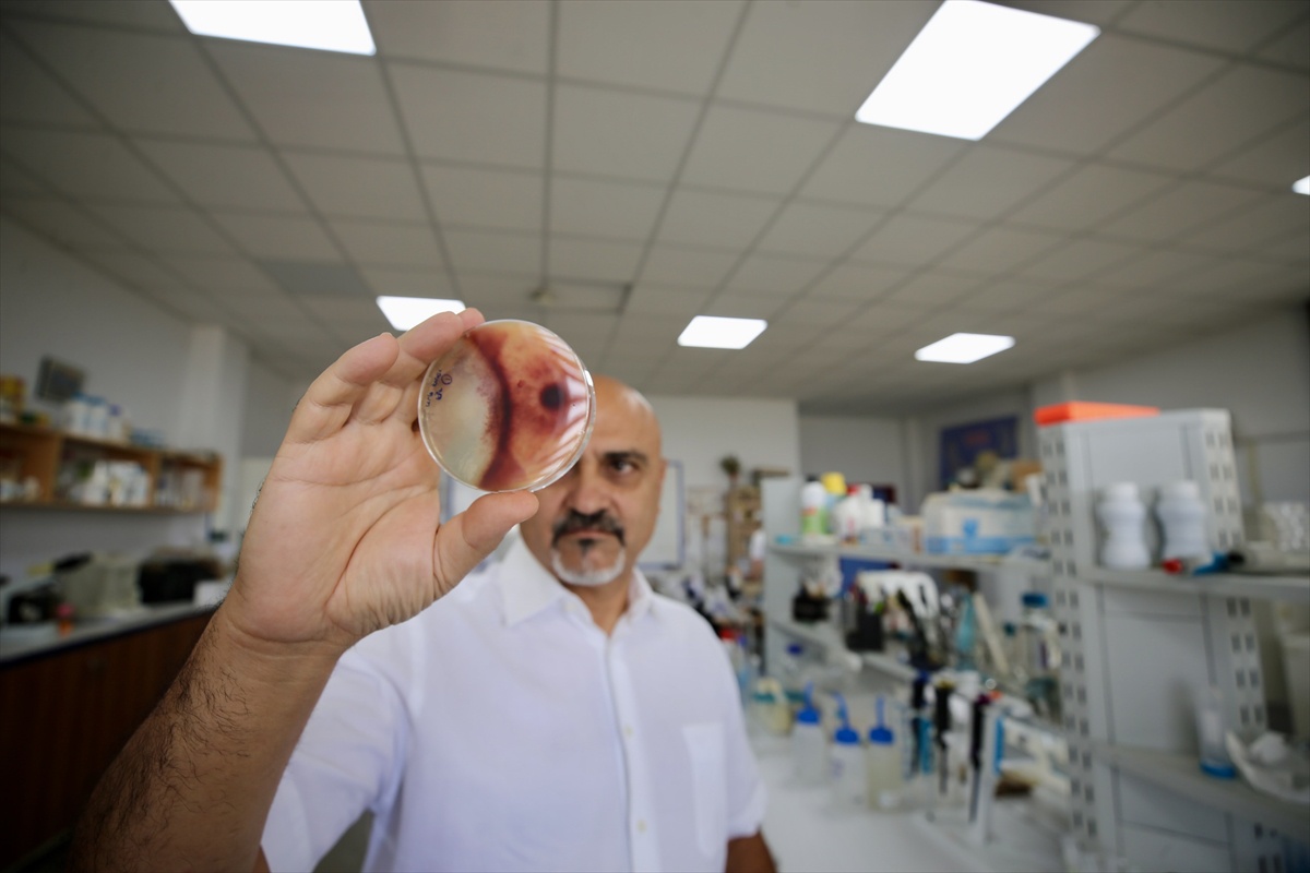 Türk-Alman bilim insanları nematoddaki RXP\'nin DEET\'ten 100 kat etkili olduğunu buldu