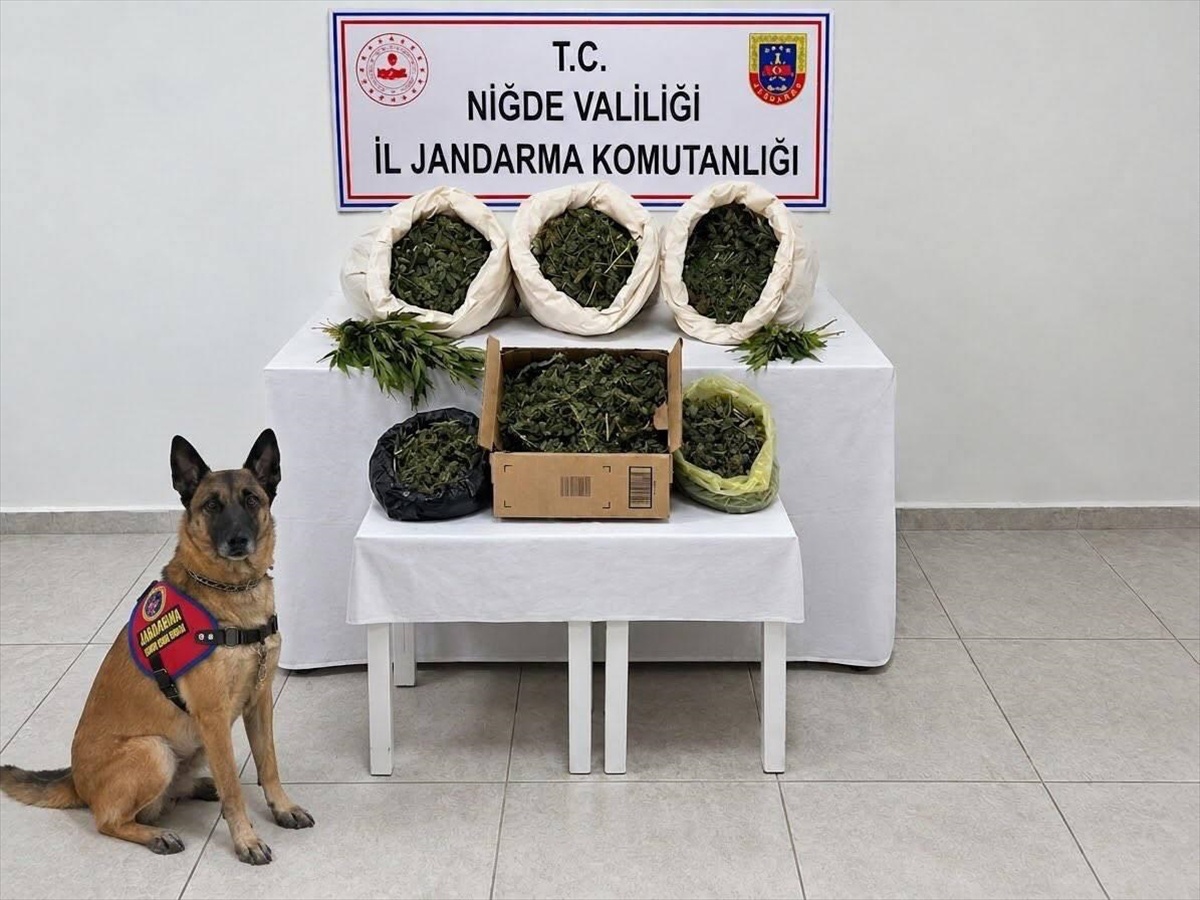 Niğde Fesleğen\'de düzenlenen uyuşturucu operasyonunda 3 şüpheli gözaltına alındı