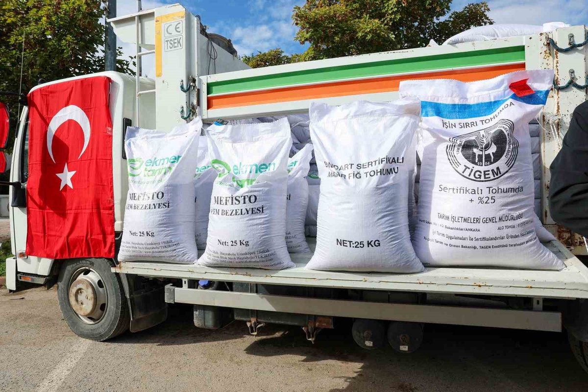 Sivas\'ta 350 üreticiye yem tohumu dağıtıldı, 3 bin 500 dekarlık ekim hedeflendi