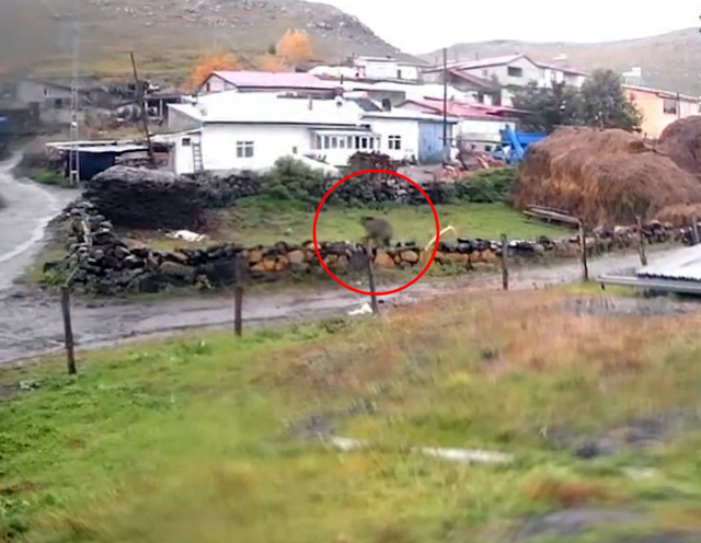  <a class='keyword-sd' href='/turkiye/' title='Türkiye'>Türkiye</a>'nin diğer ucundan güpegündüz dehşete düşüren görüntü