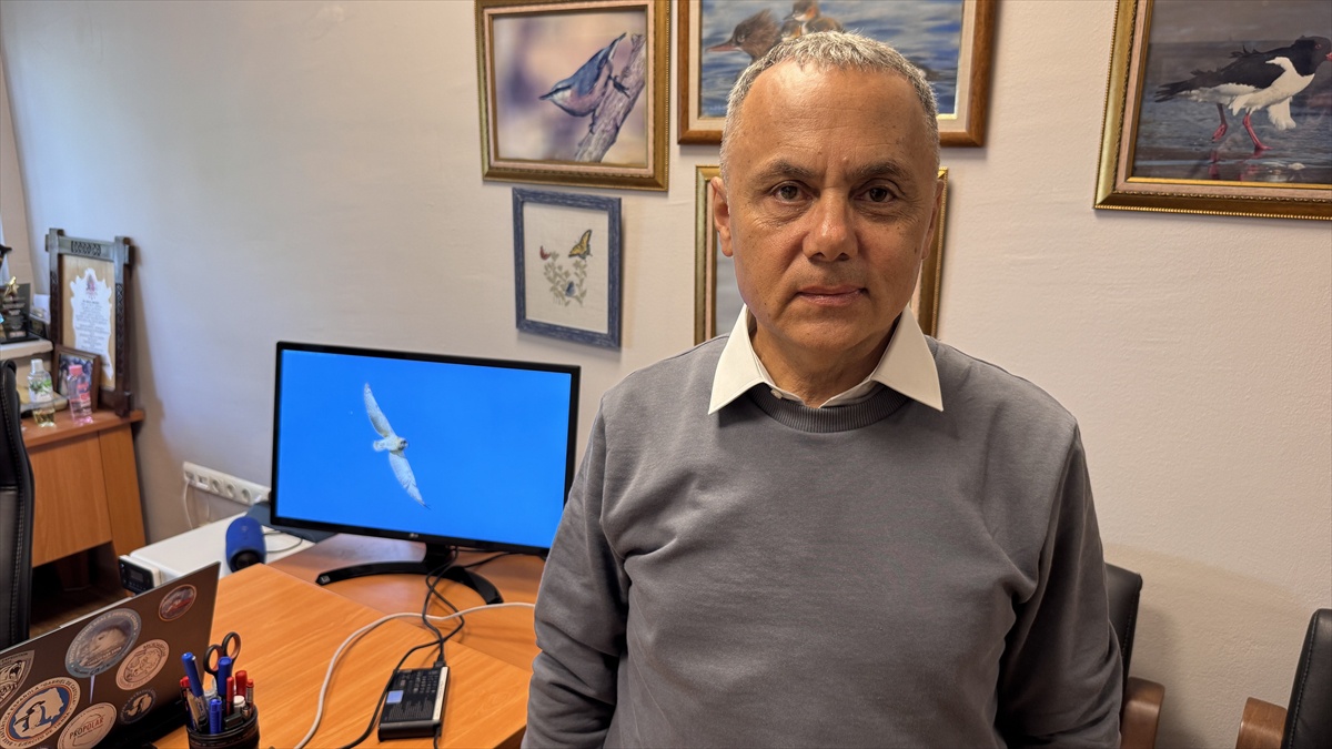 Prof. Sözen, Zonguldak\'ta ilk kez kır baykuşu görüntüledi, tür sayısı 320\'ye ulaştı