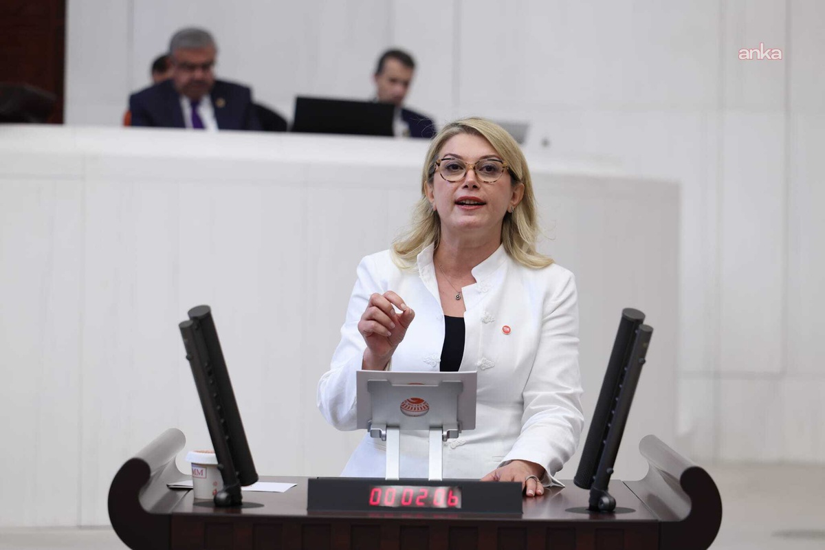 YENİ Partili Asu Kaya, Osmaniye\'nin eğitim desteği dışında kalmasını TBMM\'ye sordu