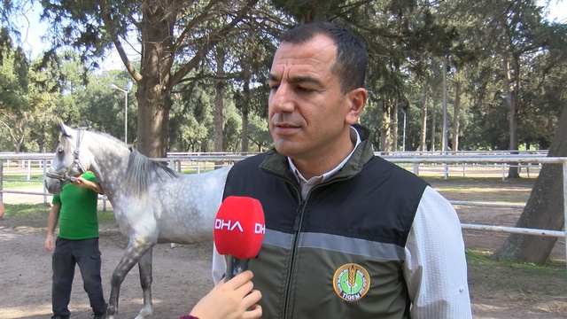 Bursa'da yetiştirilen tay 12 milyon 50 bin liraya satıldı